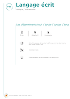 Les déterminants  tout / toute / toutes / tous