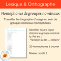 Homophones de groupes nominaux