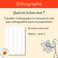 Quel est le bon mot ?