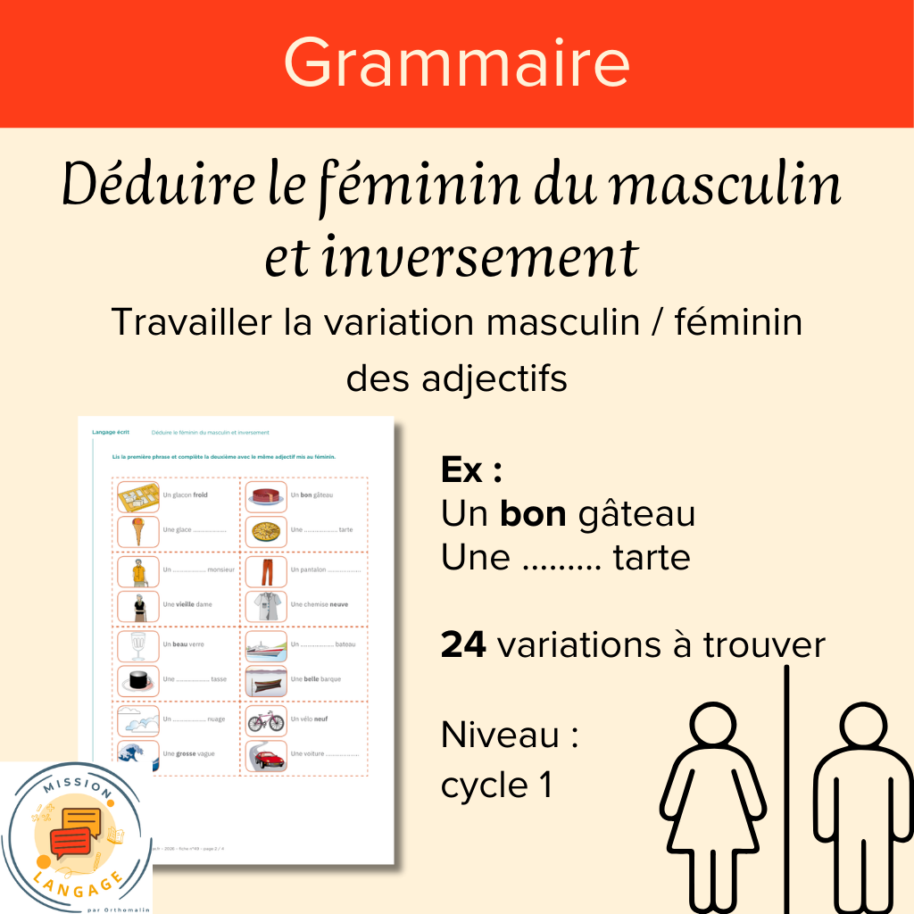 Déduire le féminin du masculin et inversement