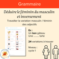 Déduire le féminin du masculin et inversement